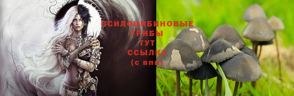 COCAINE Алексеевка