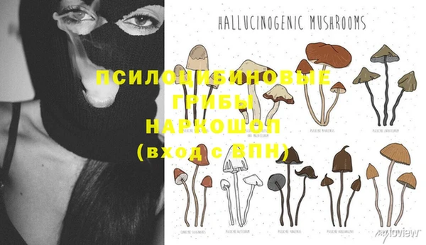 синтетический гашиш Арсеньев