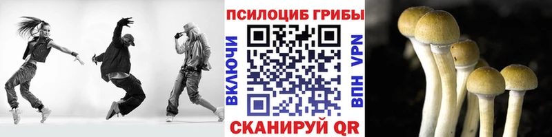 Псилоцибиновые грибы мухоморы  где купить наркоту  дарк нет формула  Белорецк 